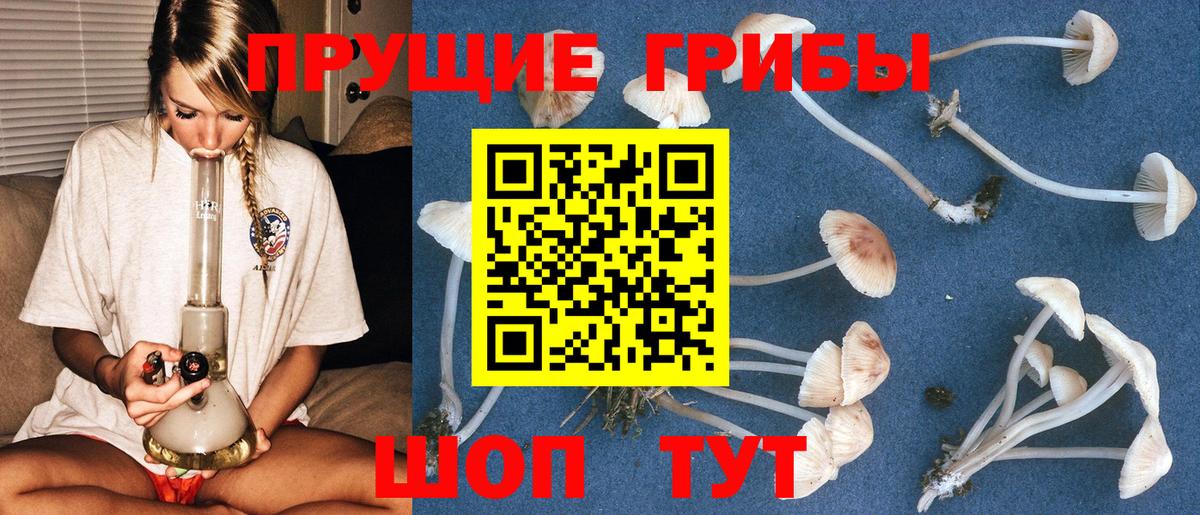 купить наркотики цена  Галлюциногенные грибы ЛСД  Вход с VPN  Псилоцибиновые грибы Psilocybine cubensis  Советская Гавань 